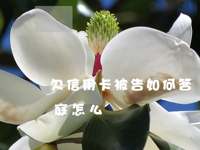 欠信用卡被告如何答辯-欠信用卡被起訴開庭怎么辦