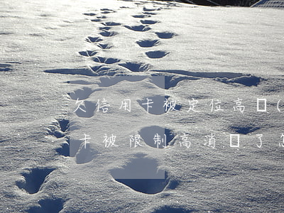 欠信用卡被定位高風(fēng)險(欠信用卡被限制高消費了怎么辦)