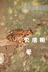 欠信用卡被家人知道(本人欠信用卡錢,家人會受牽連嗎)