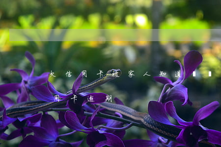欠信用卡被家人知道（當親戚朋友都知道你信用卡逾期）