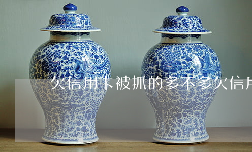 欠信用卡被抓的多不多(欠信用卡会被拘留)