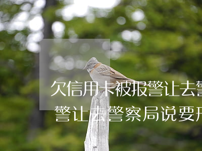 欠信用卡被报警让去警察局-欠信用卡被报警让去警察局说要刑拘