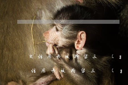 欠信用卡被拘留三個(gè)月有案底嗎（欠信用卡被拘留三個(gè)月）