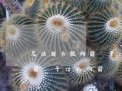 欠信用卡被拘留屬于什么拘留(欠信用卡被拘留屬于什么拘留)