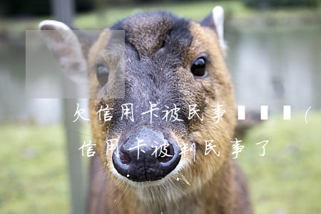 欠信用卡被民事訴訟會(huì)怎么樣（欠信用卡被判民事了）