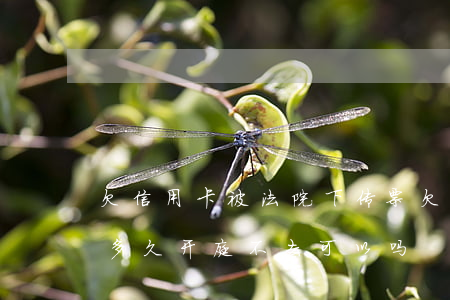 欠信用卡被法院下传票(欠信用卡传票送达后多久开庭,不去可以吗)