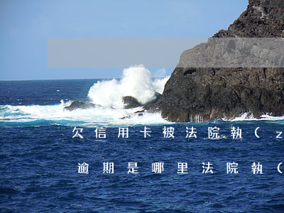 欠信用卡被法院執(zhí)行（中信信用卡逾期是哪里法院執(zhí)行）
