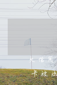 欠信用卡被法院執(zhí)行了-欠信用卡被法院執(zhí)行了還能協(xié)商嗎