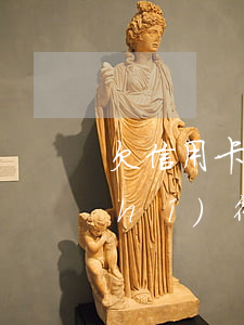 欠信用卡被法院強(qiáng)制執(zhí)行會怎么樣-欠信用卡被法院強(qiáng)制執(zhí)行會怎么樣嗎
