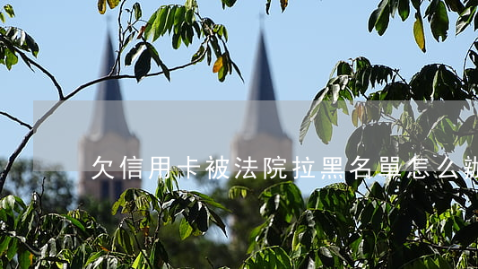 欠信用卡被法院拉黑名單怎么辦-