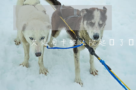 欠信用卡被法院起訴了該怎么辦-