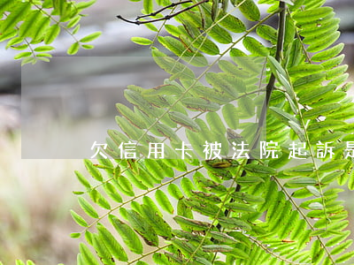 欠信用卡被法院起訴是什么樣子的