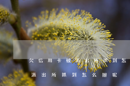 欠信用卡被派出所抓到怎么辦-欠信用卡被派出所抓到怎么辦呢