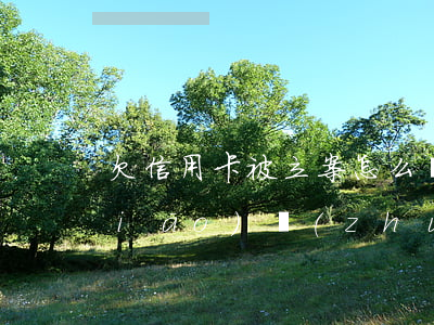 欠信用卡被立案怎么辦(欠信用卡立案標(biāo)準(zhǔn))