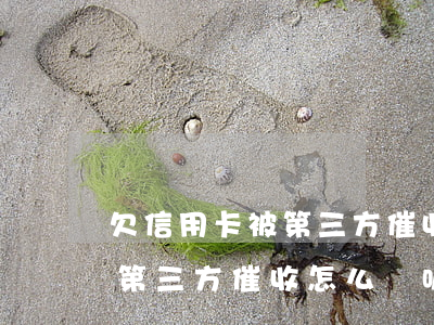 欠信用卡被第三方催收怎么辦-欠信用卡被第三方催收怎么辦呢