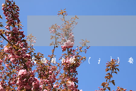 欠信用卡被紀(jì)委約談