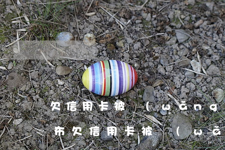 欠信用卡被網(wǎng)絡(luò)公布(欠信用卡被網(wǎng)上通緝了怎么辦)