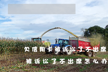 欠信用卡被诉讼了不出席怎么办-欠信用卡被诉讼了不出席怎么办呢