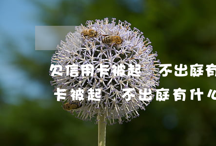 欠信用卡被起訴不出庭有什么后果-欠信用卡被起訴不出庭有什么后果嗎