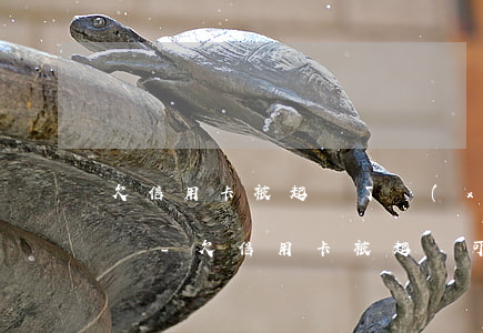 欠信用卡被起訴了協(xié)商不好怎么辦-欠信用卡被起訴可以協(xié)商還款嗎