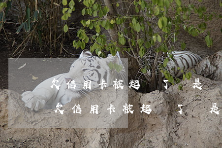欠信用卡被起訴了還是無(wú)力償還-欠信用卡被起訴了還是無(wú)力償還怎么辦?