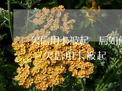 欠信用卡被起訴后如何協(xié)商處理-欠信用卡被起訴了怎么辦?