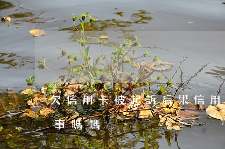 欠信用卡被起訴后果（信用卡逾期被起訴是好事嗎嗎）