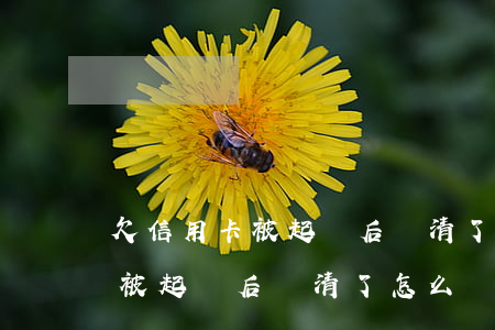 欠信用卡被起訴后還清了怎么辦-欠信用卡被起訴后還清了怎么辦理