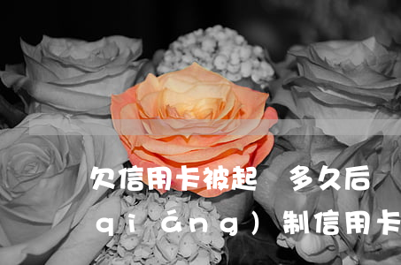 欠信用卡被起訴,多久后會(huì)被強(qiáng)制（信用卡逾期立案會(huì)被傳喚嗎）
