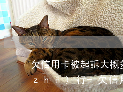 欠信用卡被起訴大概多久會(huì)執(zhí)行-欠信用卡被起訴大概多久會(huì)執(zhí)行呢