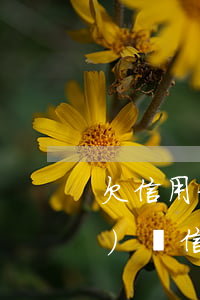 欠信用卡被起訴微信零錢會被凍結(jié)嗎（信用卡逾期微信賬單會被凍結(jié)嗎）