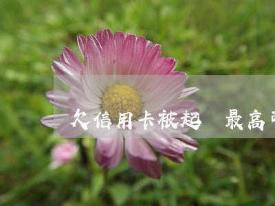 欠信用卡被起訴最高可以判多少-