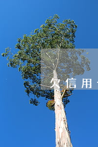 欠信用卡被起訴（武漢信用卡逾期被起訴）