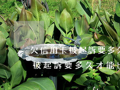 欠信用卡被起訴要多久才能出來-欠信用卡被起訴要多久才能出來結(jié)果