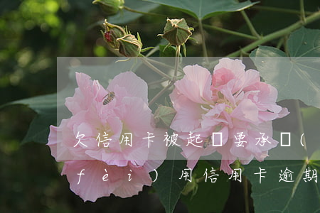 欠信用卡被起訴要承擔(dān)什么費(fèi)用（信用卡逾期被起訴要怎樣應(yīng)對）