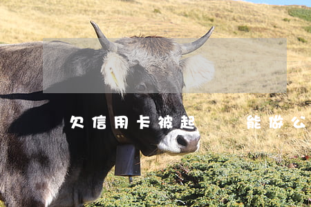 欠信用卡被起訴還能做公務(wù)員嗎-