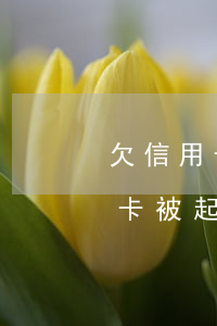 欠信用卡被起訴開庭要注意些什么-欠信用卡被起訴開庭要注意些什么問題