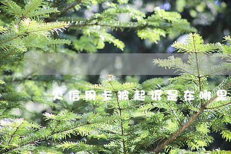 欠信用卡被起诉是在哪里开庭的-
