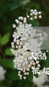 欠信用卡被起诉最坏结果会怎样-欠信用卡被起诉后会怎么样