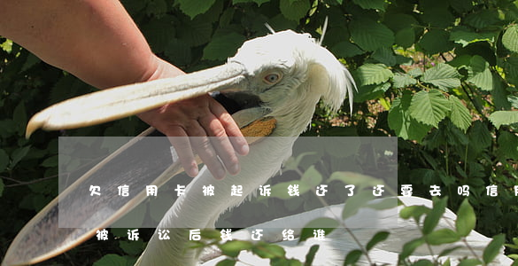 欠信用卡被起诉,钱还了,还要去吗（信用卡逾期被诉讼后钱还给谁）