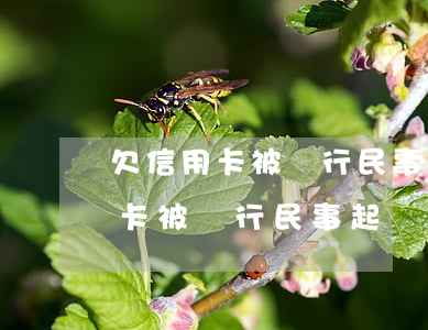 欠信用卡被銀行民事起訴了怎么辦-欠信用卡被銀行民事起訴了怎么辦呢