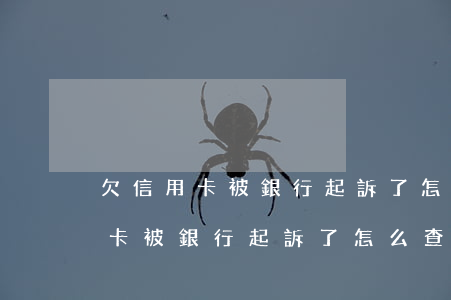 欠信用卡被銀行起訴了怎么查詢了-欠信用卡被銀行起訴了怎么查詢了信息