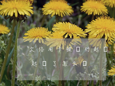欠信用卡被銀行起訴了怎么辦(拖欠信用卡被起訴了怎么辦)