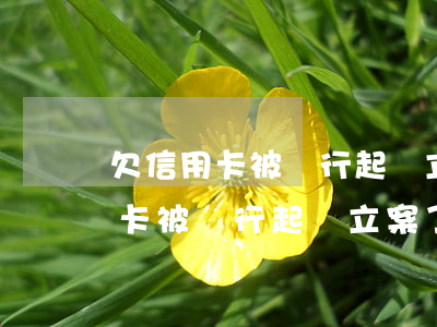 欠信用卡被銀行起訴立案了怎么辦-欠信用卡被銀行起訴立案了怎么辦呢