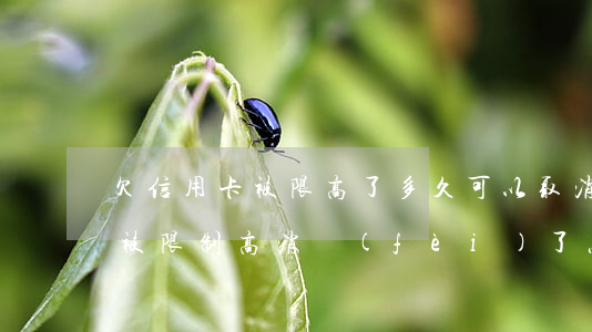 欠信用卡被限高了多久可以取消-欠信用卡被限制高消費(fèi)了怎么辦