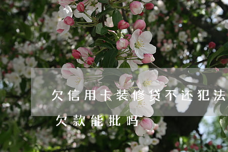 欠信用卡装修贷不还犯法吗(装修贷信用卡有欠款能批吗)