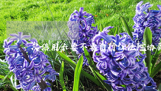 欠信用卡要不要自行让法院协商-