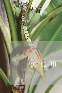 欠信用卡要借錢 借信用卡錢不還有什么后果