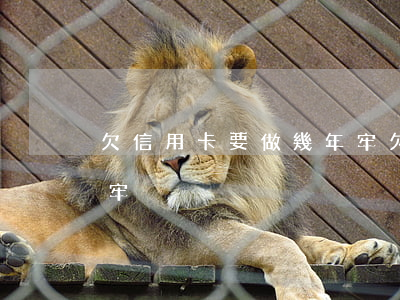 欠信用卡要做幾年牢(欠信用卡到底會不會坐牢)