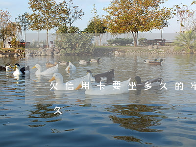 欠信用卡要坐多久的牢(欠信用卡錢會被判多久)